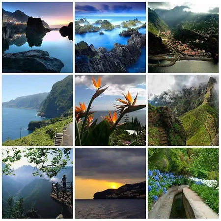 Jardim アパート *